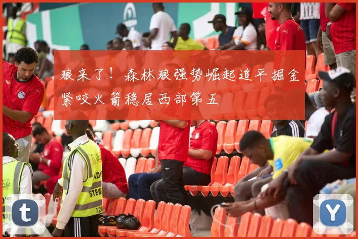 狼来了！森林狼强势崛起追平掘金紧咬火箭稳居西部第五
