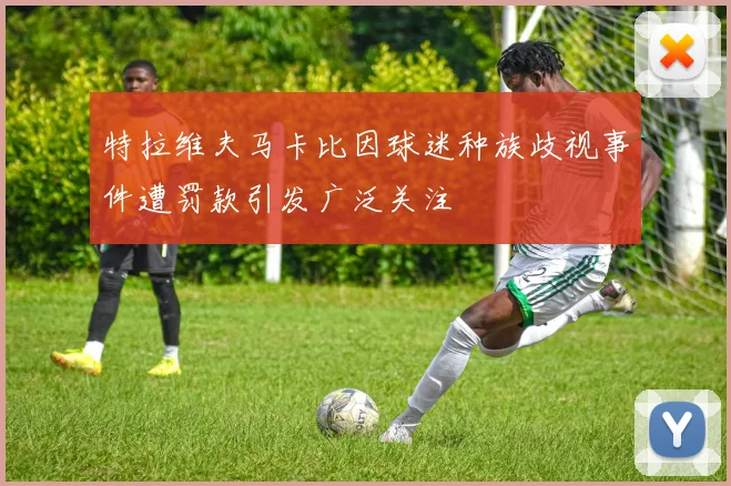 特拉维夫马卡比因球迷种族歧视事件遭罚款引发广泛关注