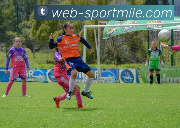 米乐体育发展历程